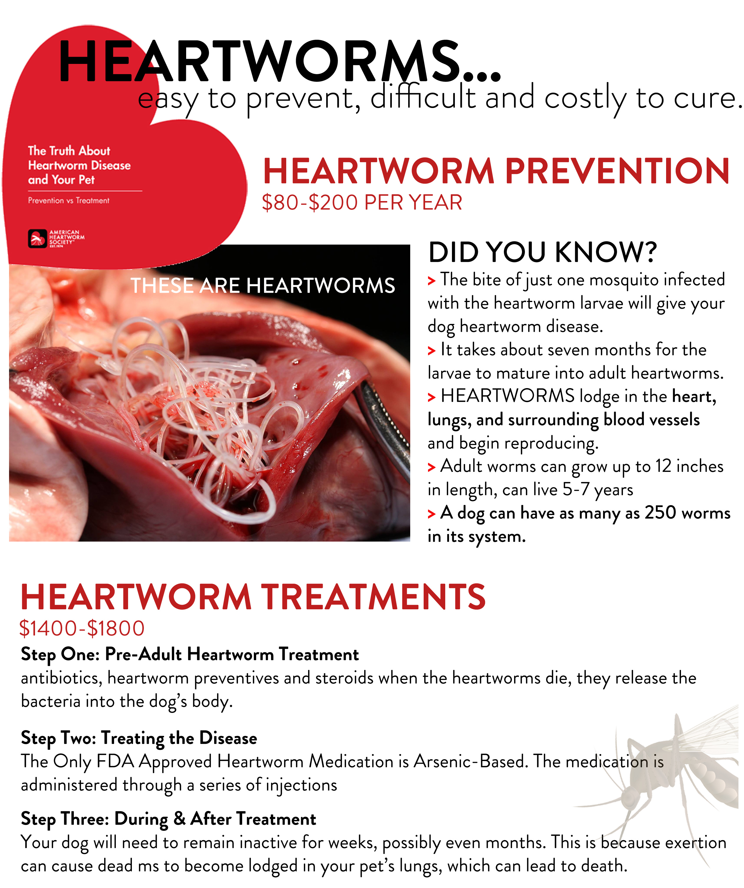 heartworm treatment cost