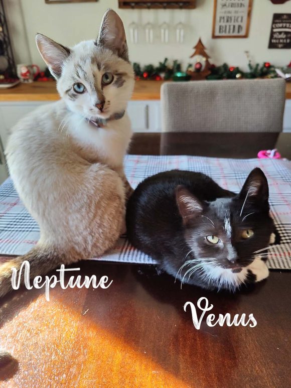 Neptune & Venus