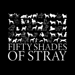 Stray